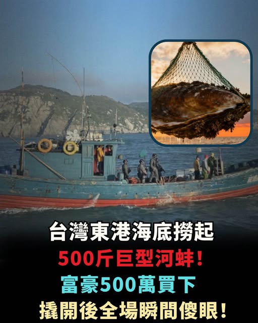 東港海底撈起500斤巨型河蚌！富豪花500萬買下，撬開那一刻全場瞬間愣住