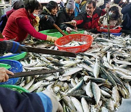 高雄75歲阿嬤每天買70斤比目魚，店主察覺不對後立即報警，警方破門而入後嚇傻了...