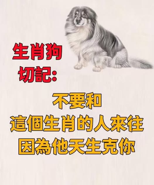 生肖狗「切記」：不要和這個生肖的人來往，因為他天生克你