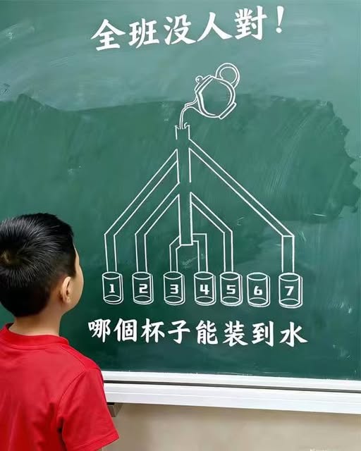 哪個杯子能裝到水，智商越高越容易答對