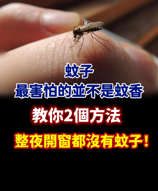 蚊子最害怕的並不是蚊香，教你2個方法，整夜開窗都沒有蚊子！