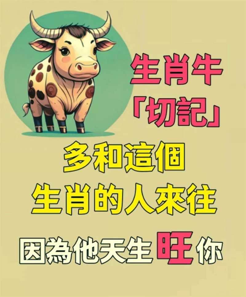 生肖牛「切記」多和這個生肖來往，因為他天生旺你