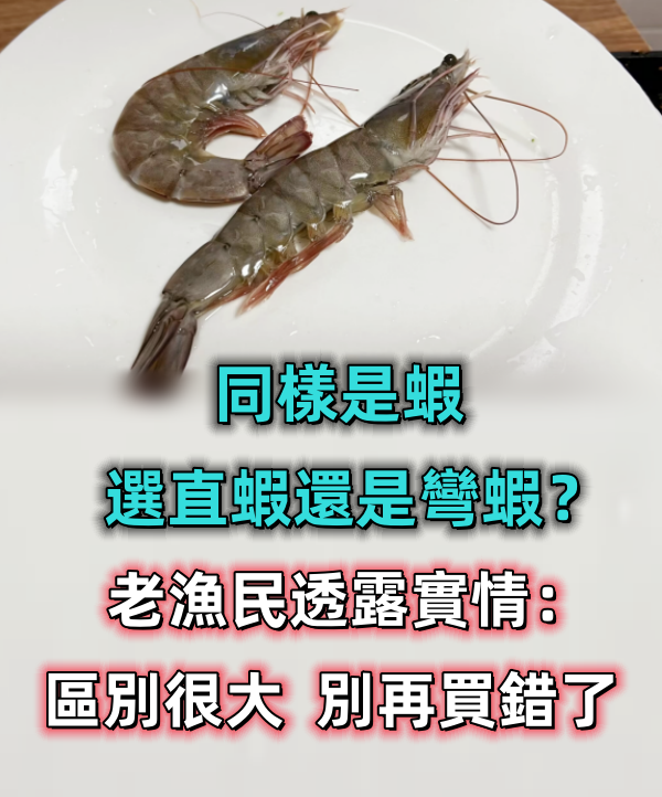 同樣是蝦,選「直蝦」還是「彎蝦」?老漁民透露實情:區別很大,別再買錯了