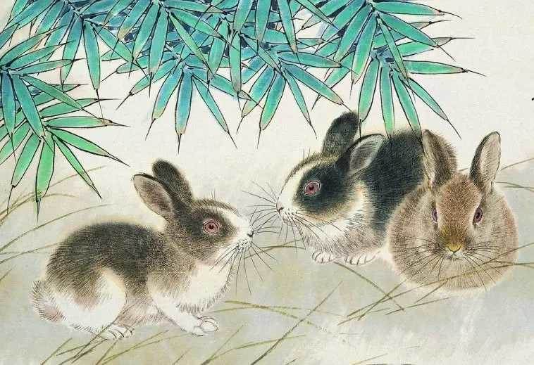說出來你可能不信!這4個生肖晚年不生病,越老越有錢,福氣堆成山
