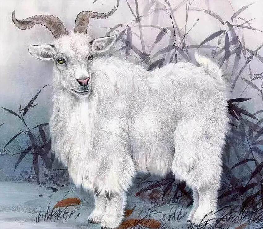 說出來你可能不信!這4個生肖晚年不生病,越老越有錢,福氣堆成山