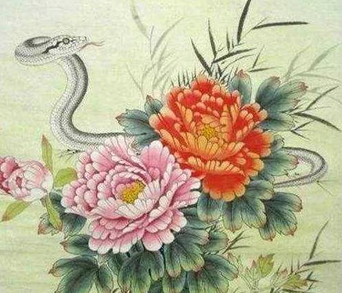 算命的說：只要熬過今年7月份，4大生肖「將鹹魚翻身」，第二名連旺30年