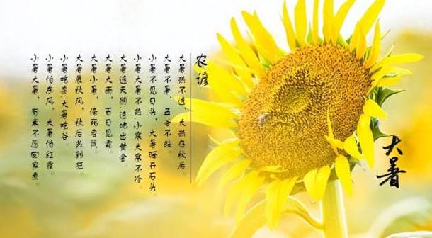 30年一次，就在明天！7月23日「大暑」，起床後「趕緊做1事」再倒楣也能逆天改命，乞丐也能變富翁！