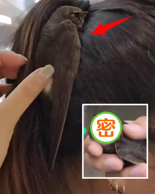 雨天帶女兒逛商場，進門後她說「頭頂濕熱」定睛一看「黑灰色一團」瞬間傻眼，大喊：別碰！