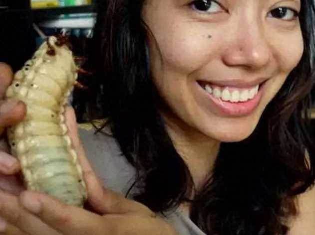 女友外出去登山！帶回了一隻「乳白巨蟲」說會變出美麗蝴蝶　結果1個月後卻孵出「謎之霸王生物」