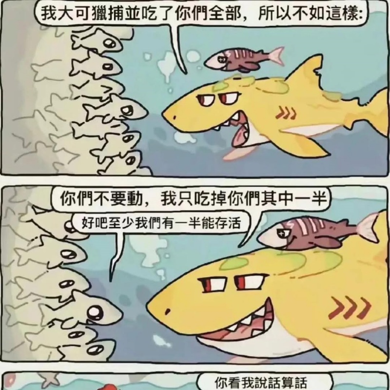 果然說話算話!