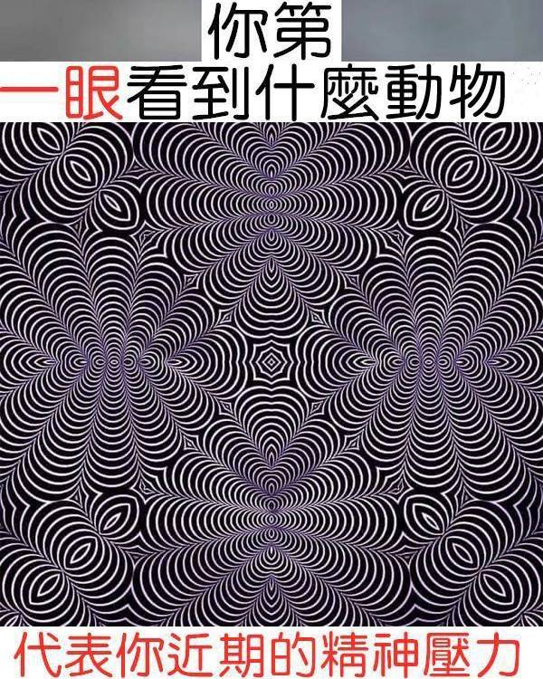 第一眼看到什麼動物，代表近期壓力