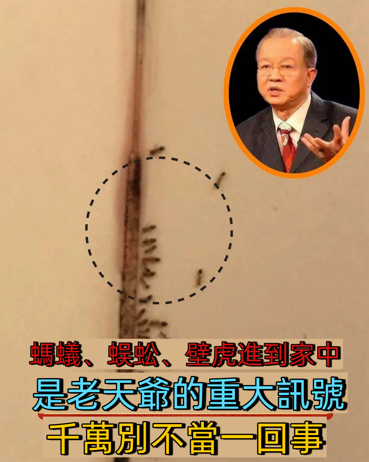 螞蟻、蜈蚣、壁虎進到家中,預示著什麼?是老天爺的重大訊號,千萬別不當一回事
