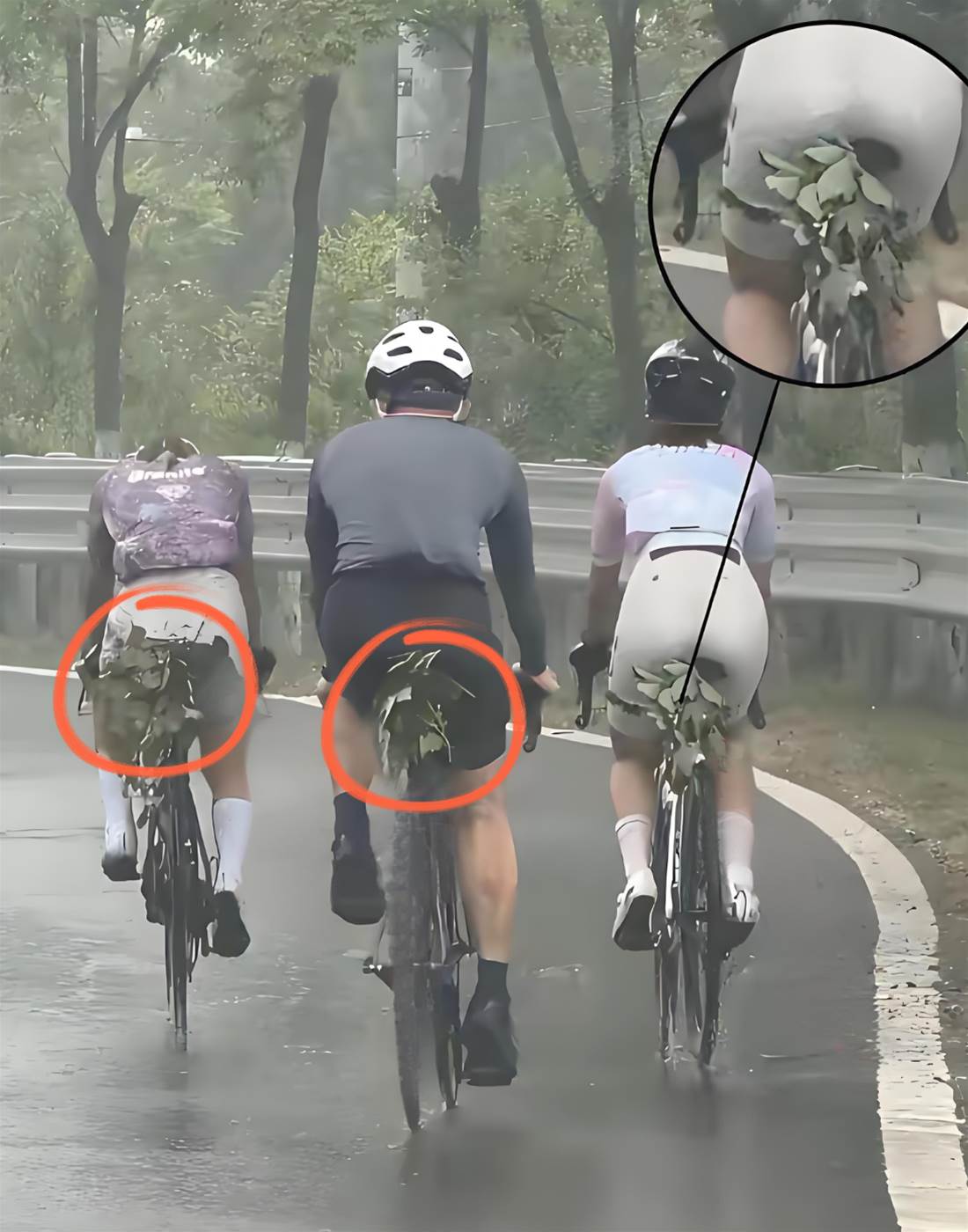 下班路上驚見騎士「樹葉墊屁股」！PO圖求問候，網友「1回覆」竟讓我懷疑人生！