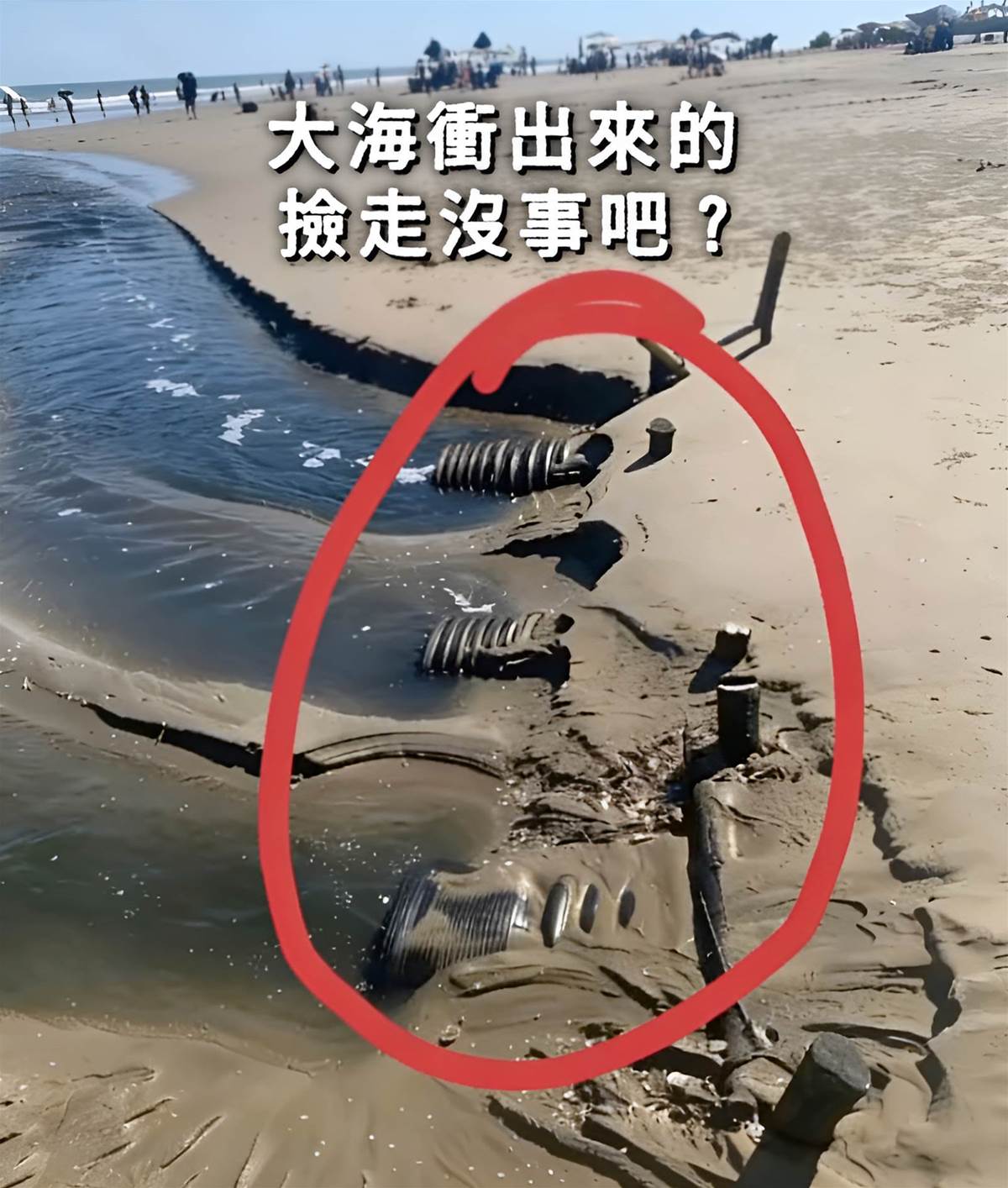 阿嬤傳海邊照問「這能撿嗎」，他放大看清圖中「塑膠殼」 全身發毛：別想打它的主意啊