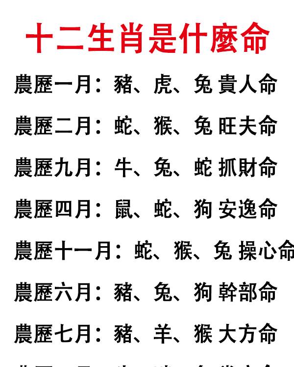 十二生肖是什麼命