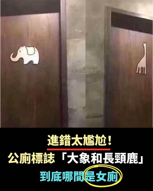 進錯太尷尬！公共廁所門標誌「大象和長頸鹿」如何區分男女？設計師解釋了