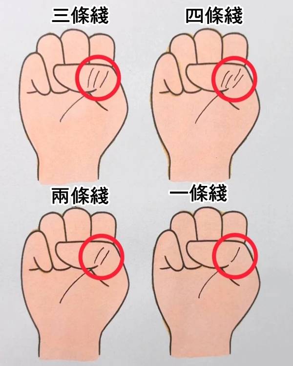 握拳時有幾條線，預示你晚年福命還是苦命！太準了