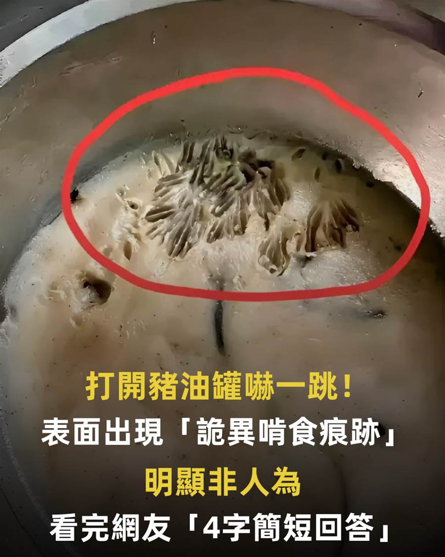 打開豬油罐嚇一跳!表面出現「詭異啃食痕跡」明顯非人為,看完網友「4字簡短回答」:他連盆一起扔了