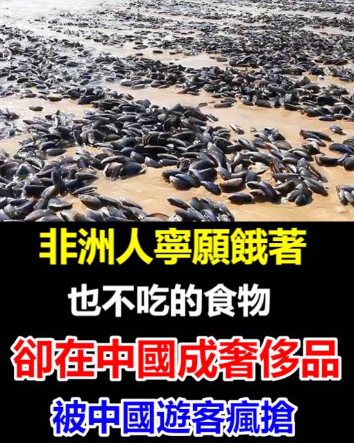 非洲人寧願餓著也不吃的食物，卻在中國成奢侈品，被中國遊客瘋搶！