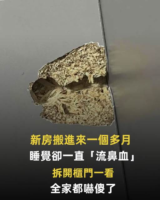 新房搬進來一個多月，睡覺卻一直「流鼻血」！拆開櫃門一看：全家都嚇傻了
