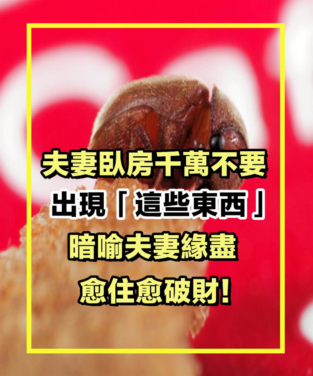 夫妻臥房千萬不要出現「這些東西」，暗喻夫妻緣盡，愈住愈破財