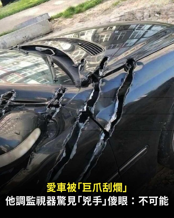 愛車被「巨爪刮爛」！他調監視器驚見「兇手」傻眼：不可能