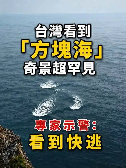 台灣現罕見「方塊海」奇景，專家急喊：這是危險訊號