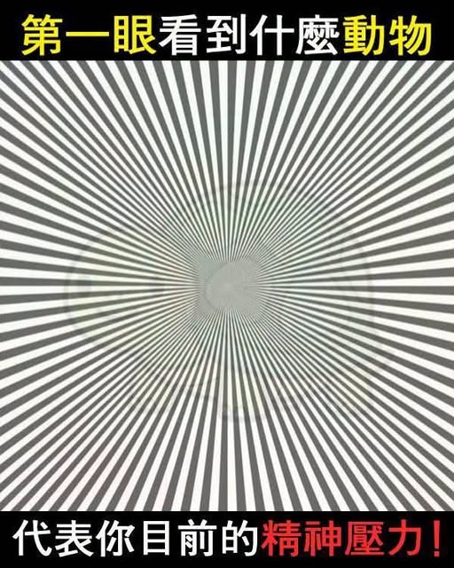 第一眼看到什麼動物 代表你最近的精神壓力！