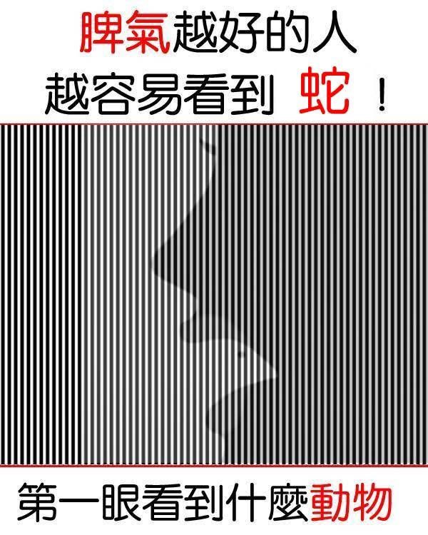 脾氣越好的人，越容易看到蛇！第一眼看到什麼