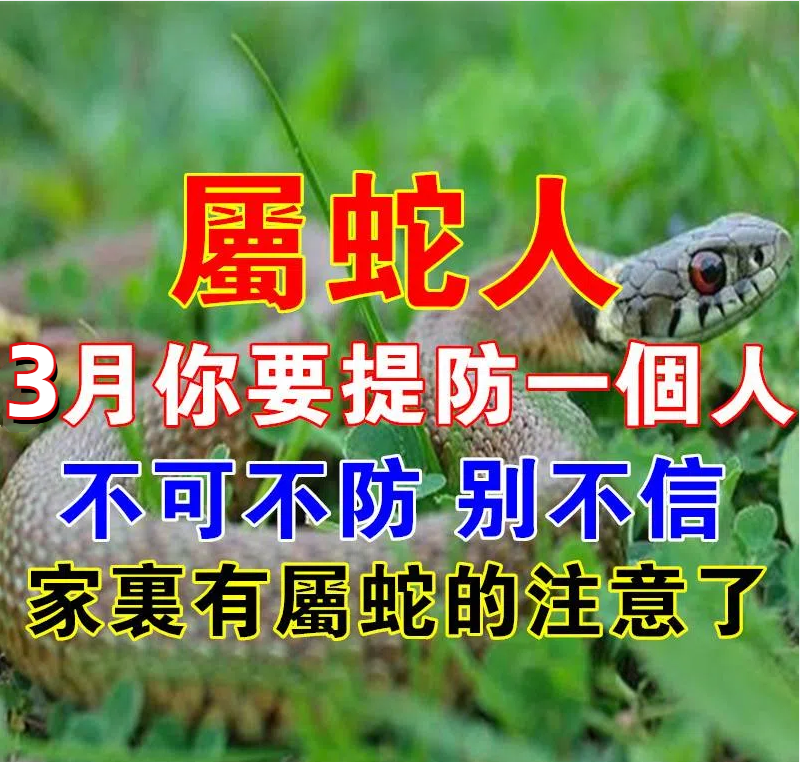 屬蛇人：3月需要提防一個人， 不可不防！別不信！家有屬蛇的注意了！