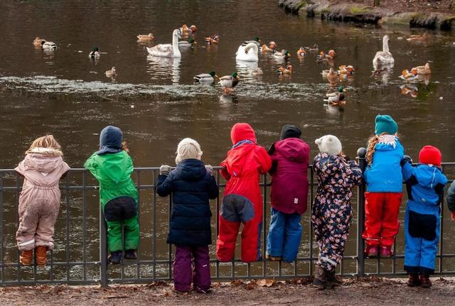 上幼兒園第一天沒哭,過幾天哭得厲害的孩子,多半是這幾種情況
