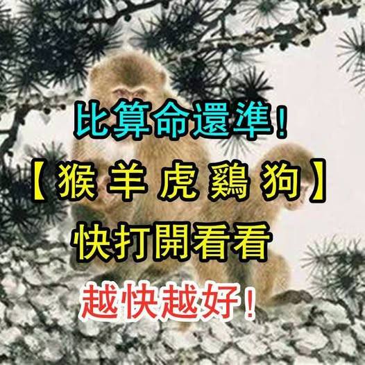 比算命還準（猴羊虎雞狗）快打開看看，越快越好！