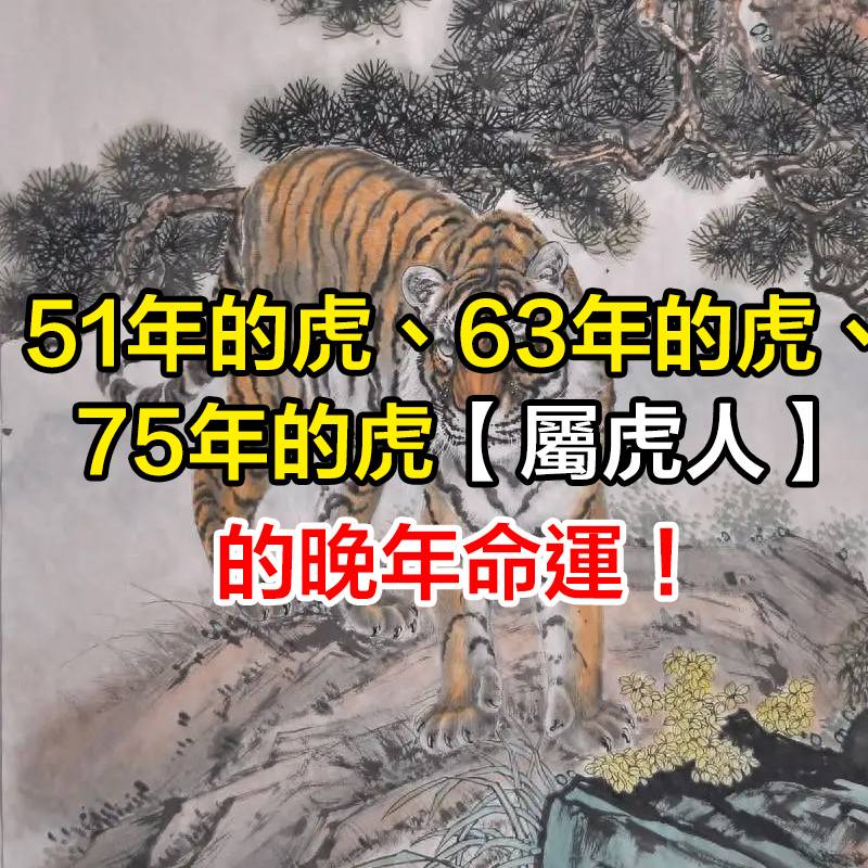 51年的虎、63年的虎、75年的虎【屬虎人】的晚年命運！