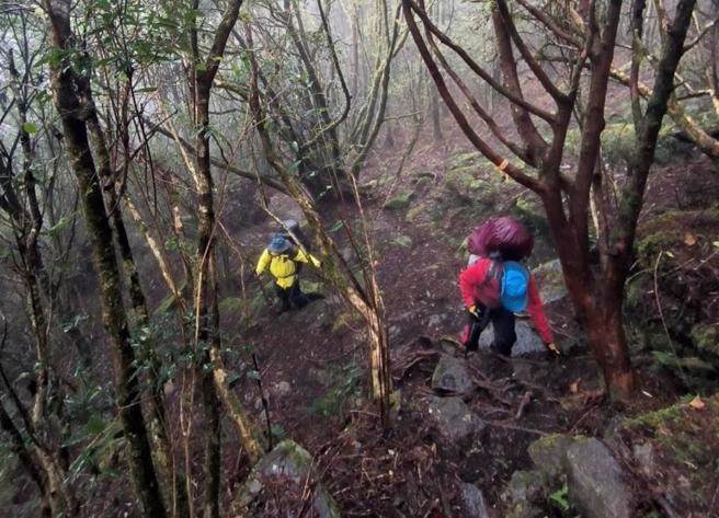 90歲父親跟著兒子爬山，卻被丟在山裡，8年後老夫妻再登山時，山裡突然傳來父親的聲音兩人嚇呆！
