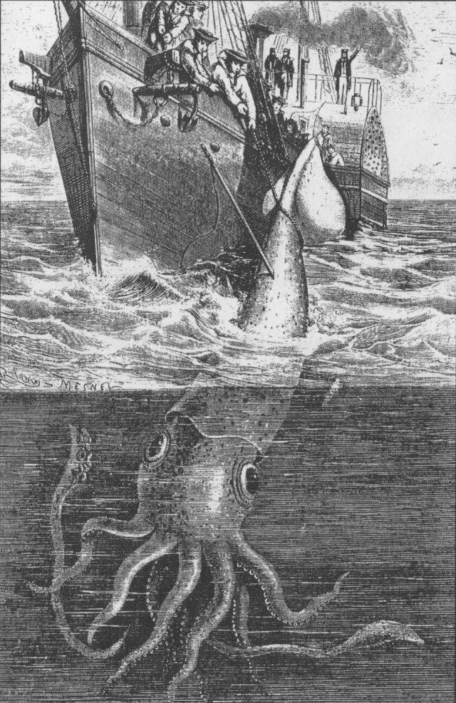高雄漁民捕獲10公尺長巨型魷魚，剖開魷魚的那一刻，眾人驚呆了！