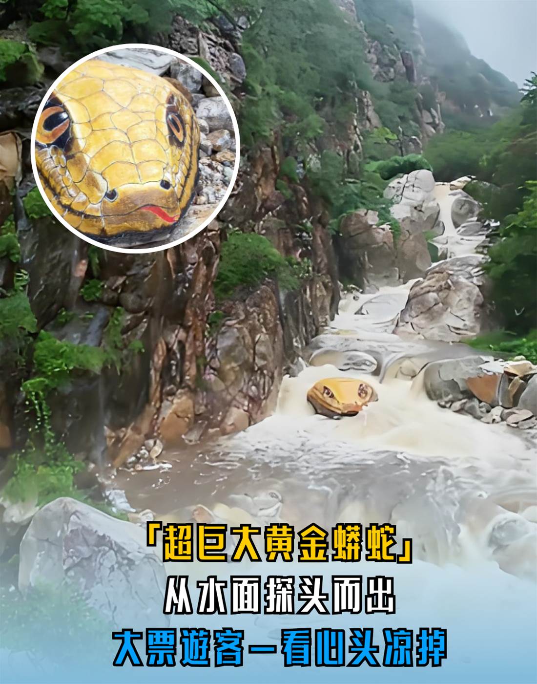 水面驚現「巨型黃金蟒蛇頭」！遊客全嚇到倒退三步