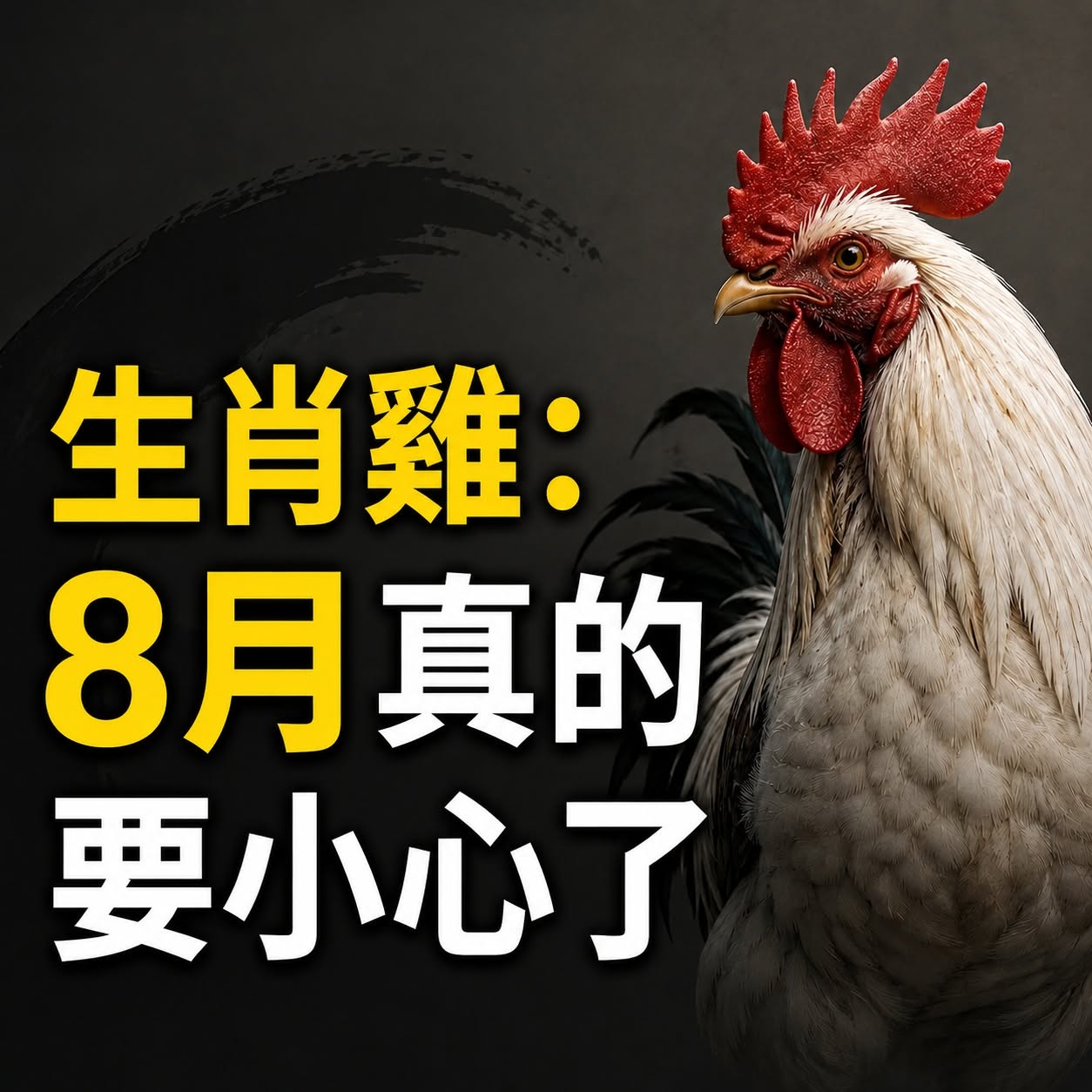 生肖雞：8月要小心了