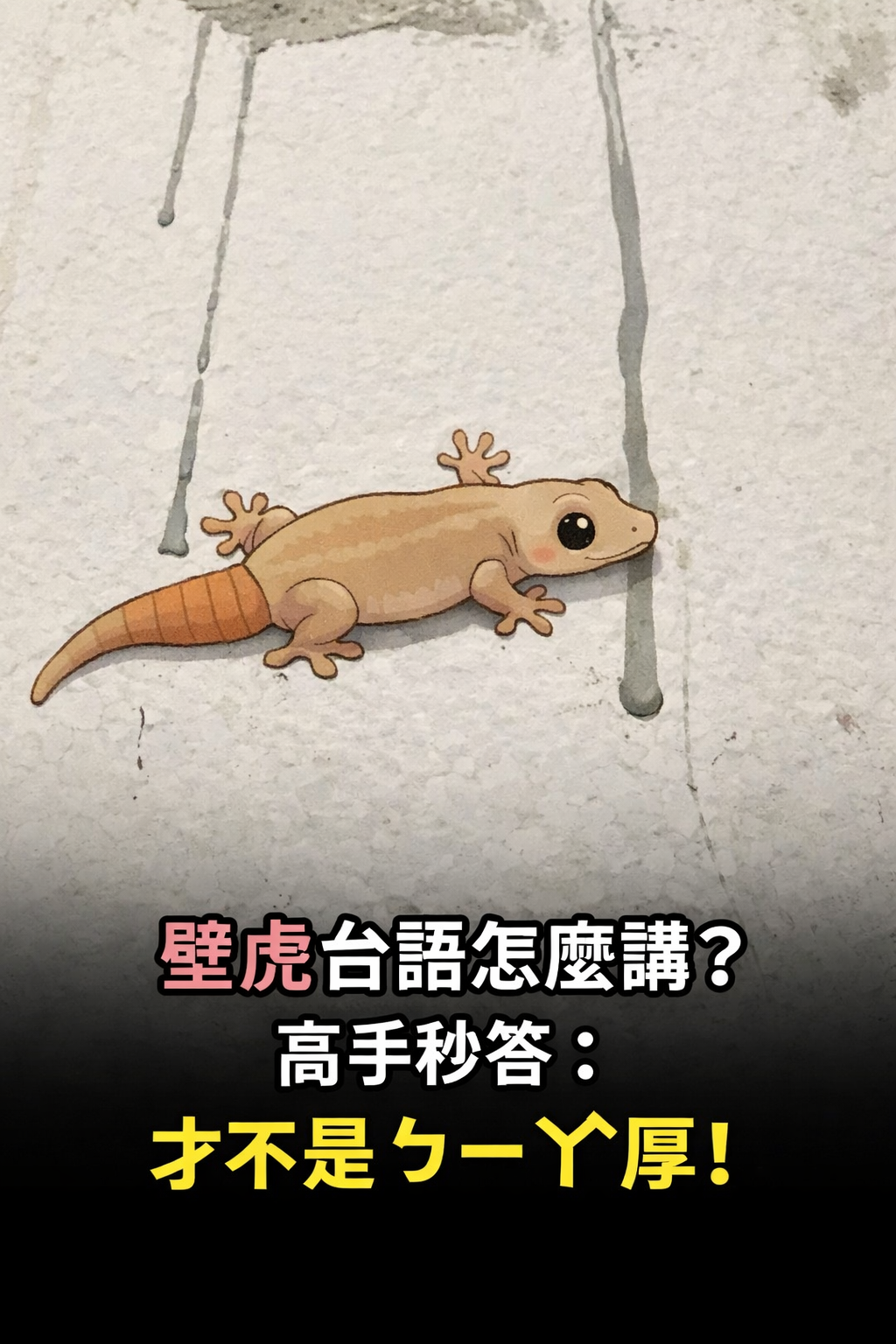 「壁虎」台語怎麼講?高手秒答:才不是ㄅㄧㄚˋ厚