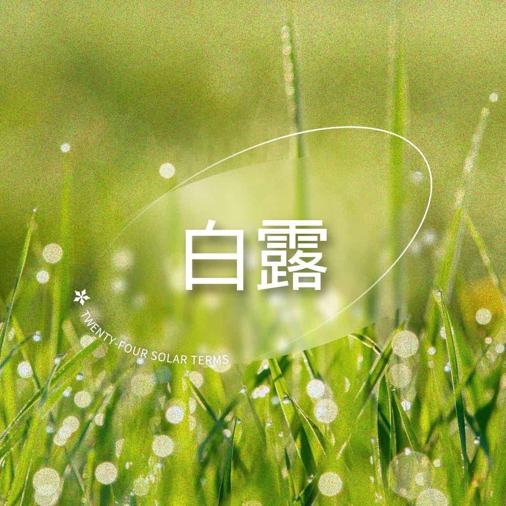 白露